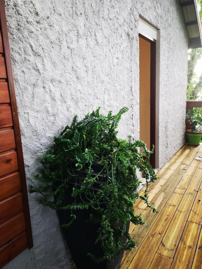 Bungalow Maelie La Trinité Exteriör bild